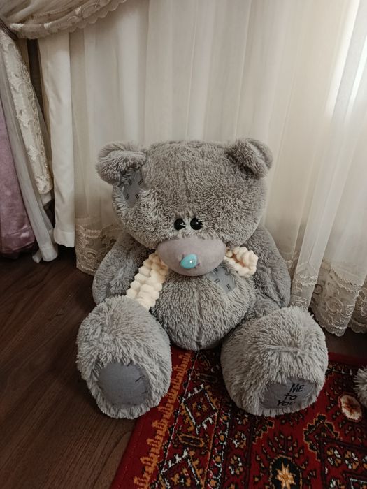 Teddy  sovĝa uchun teddy