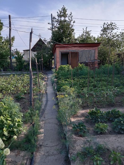 Продам дачу, на бабровке.