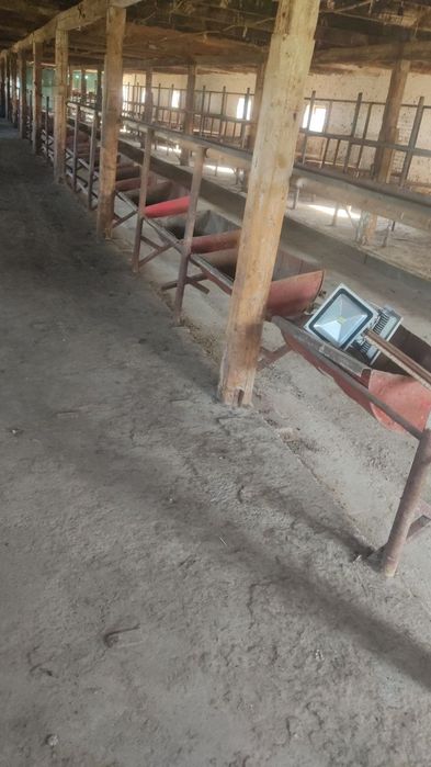 Склад ва Молхона арендага