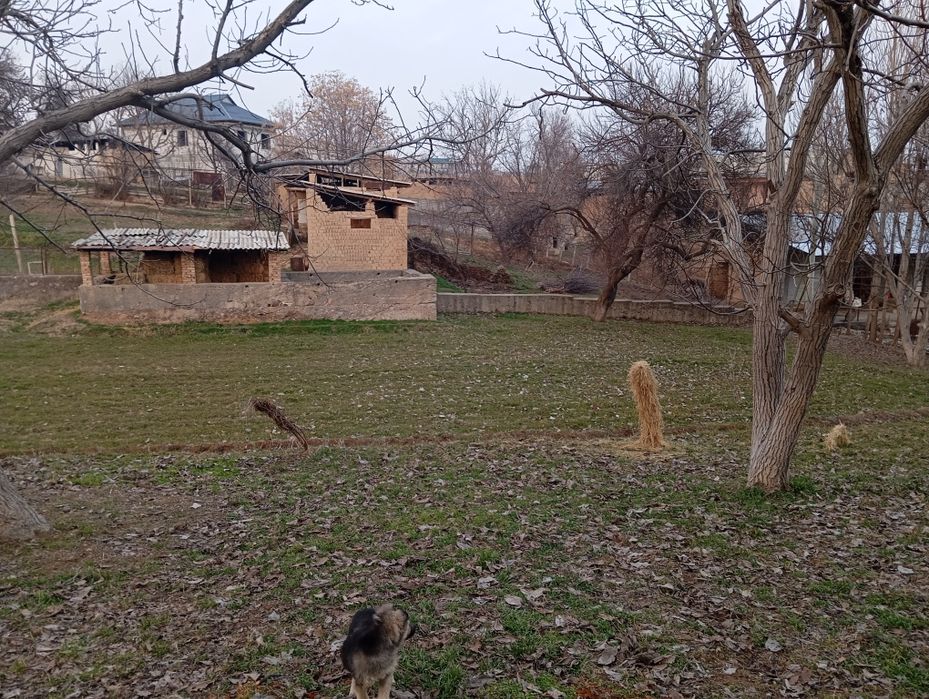 Yer uchastka sotiladi 6  sotixdan oshiq