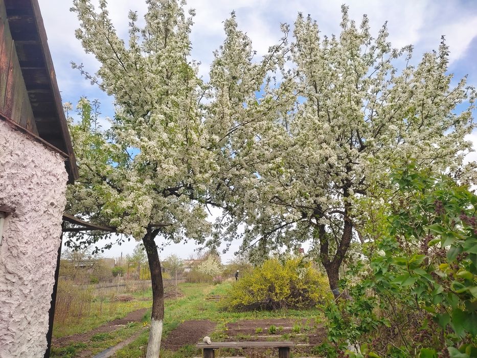 Продаю дачу в Михайловке, 12 соток