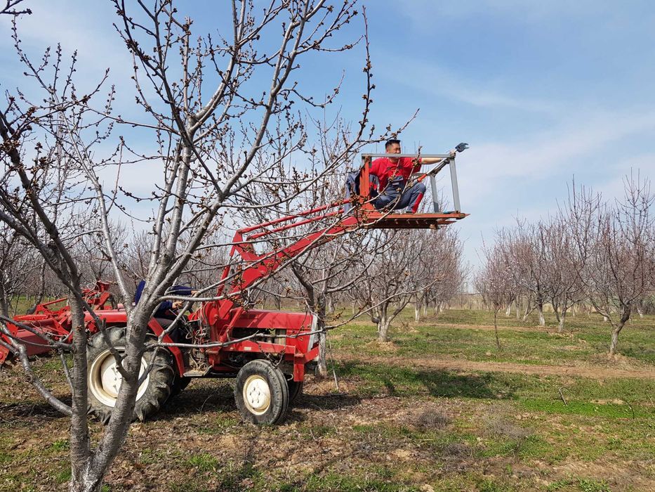 Земля сад, поливной с черешней, 3 га
