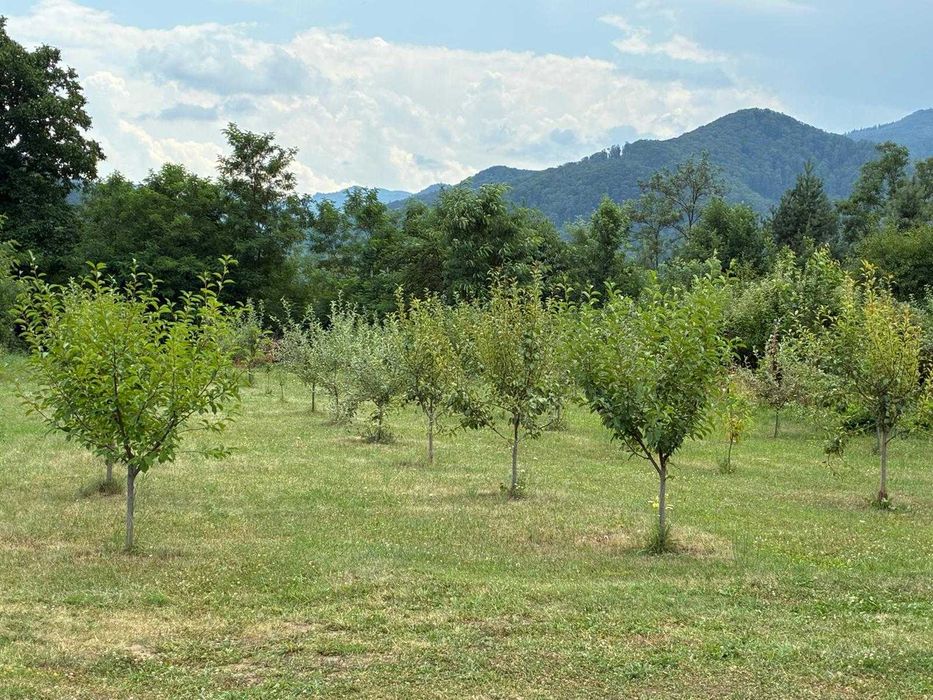 Vand teren- str Stramutati, sat Bistrita, jud Neamt