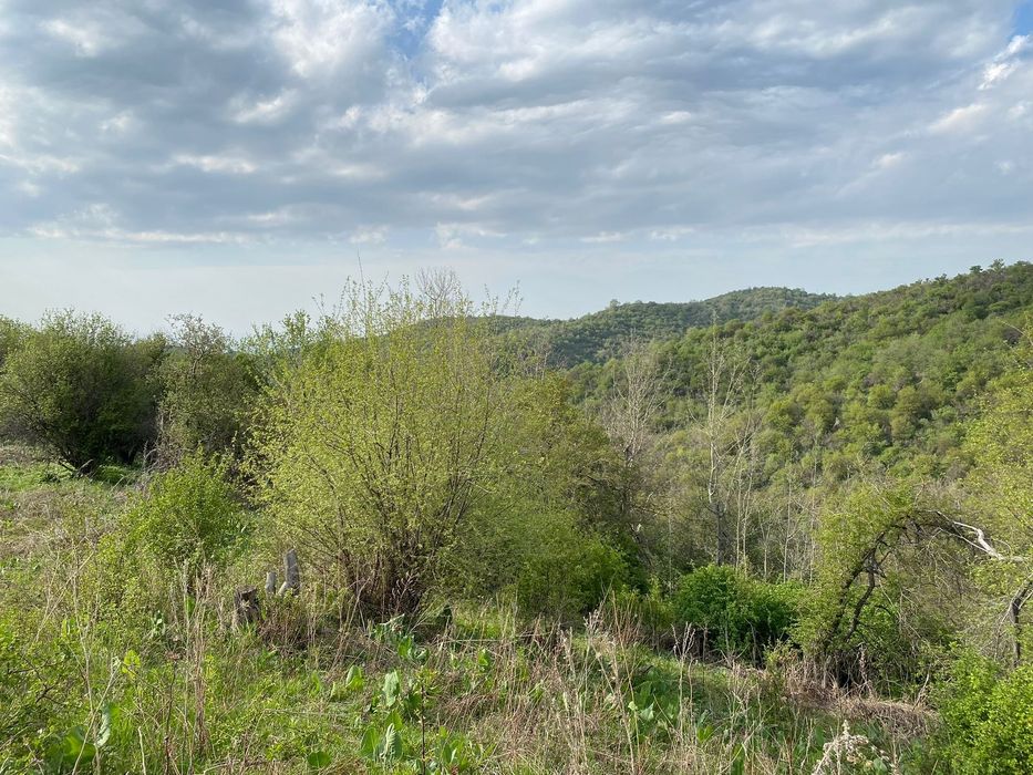 Продам участок 1Га.