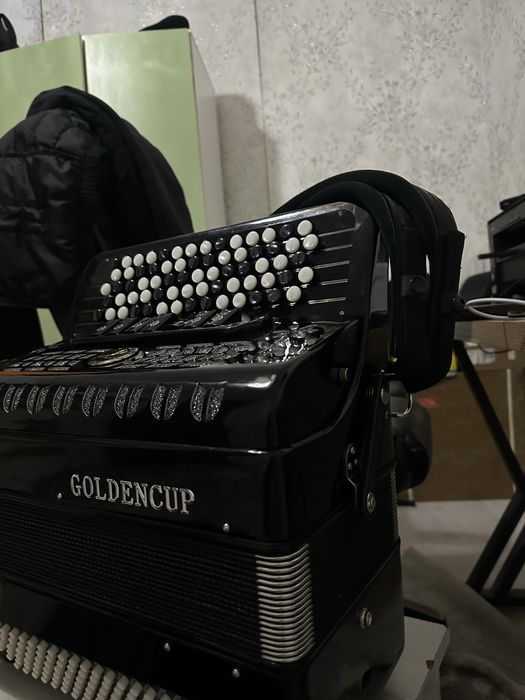 Баян аспабы новый