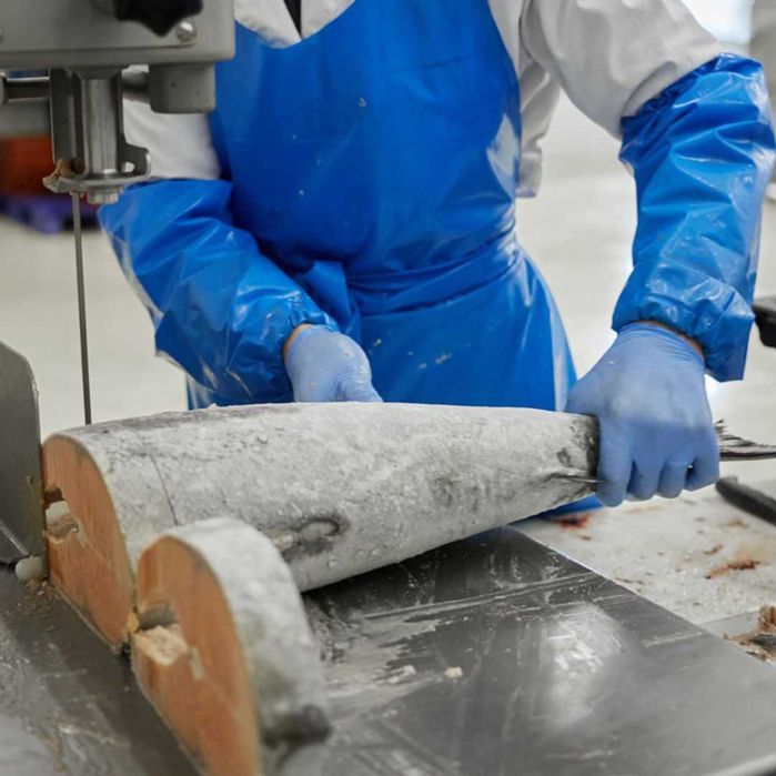 Ленточные пилы. Пилы по мясу и рыбе.