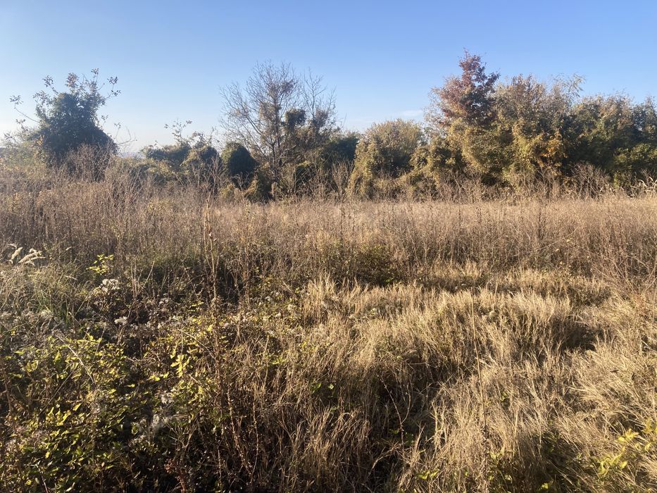 Продава се Къща в с. Брестовица, Област Русе - 60 кв.м за 183 €/кв.м - Снимка #2