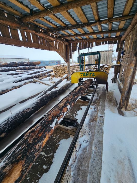 ПИЛОРАМа ленточная ТАЙГА