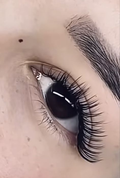 Наращивание ресниц LED