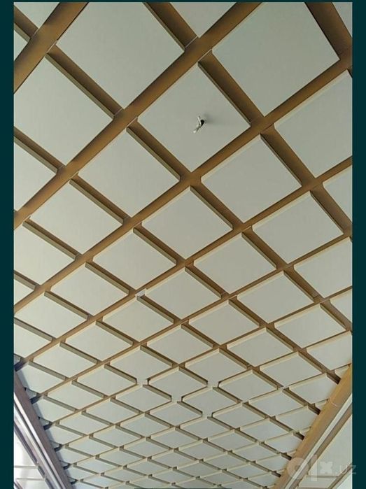 Алкапон усталари