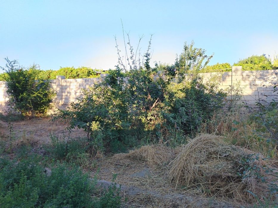 Ховли сотилади кармана туман да