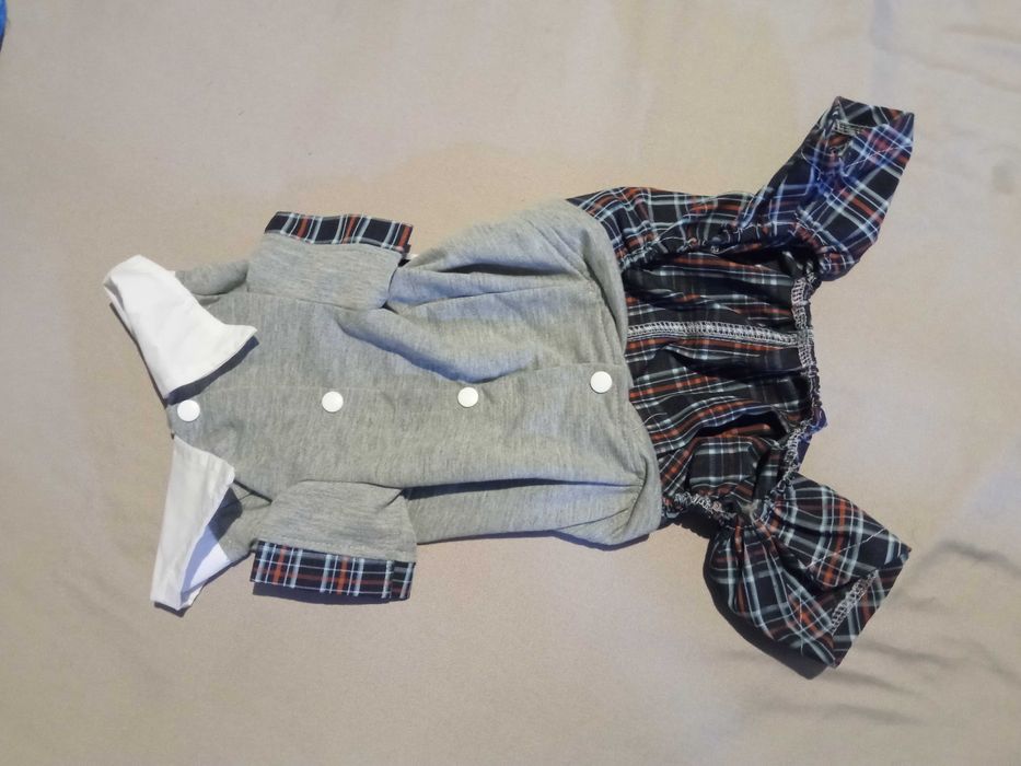 Костюм для собаки