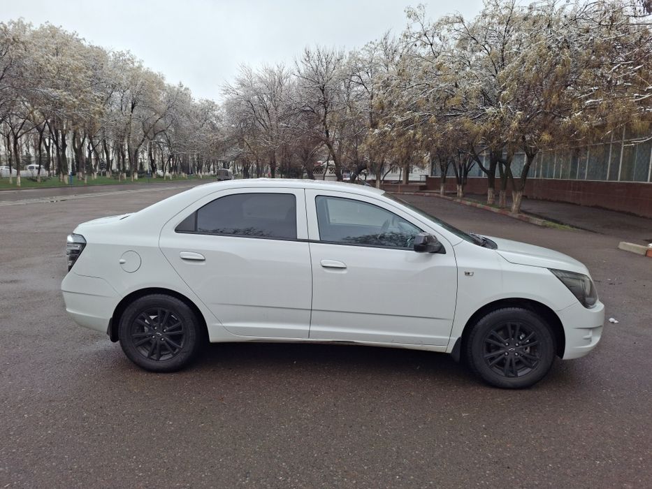 Cobalt Midnight 2025