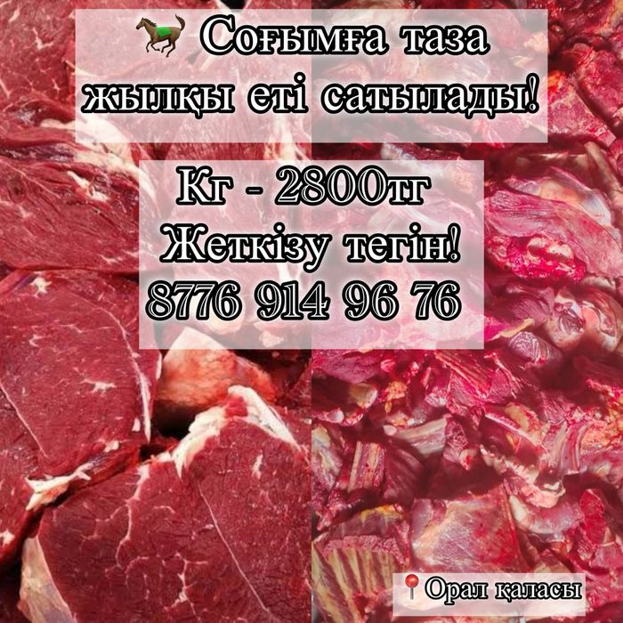 Соғым жылқы еті балғын