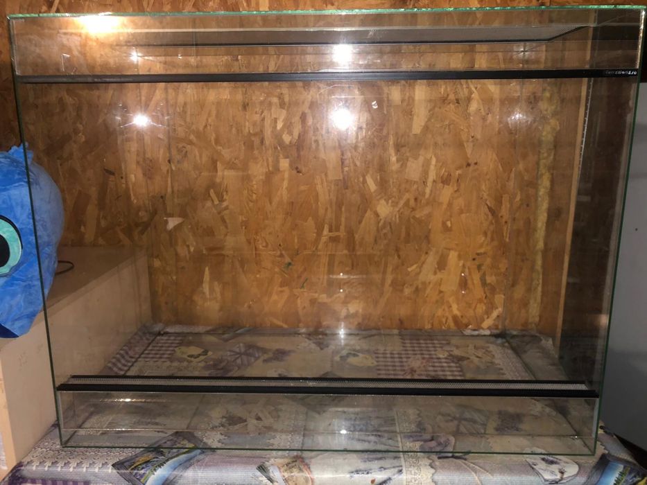 Terariu pentru Reptile