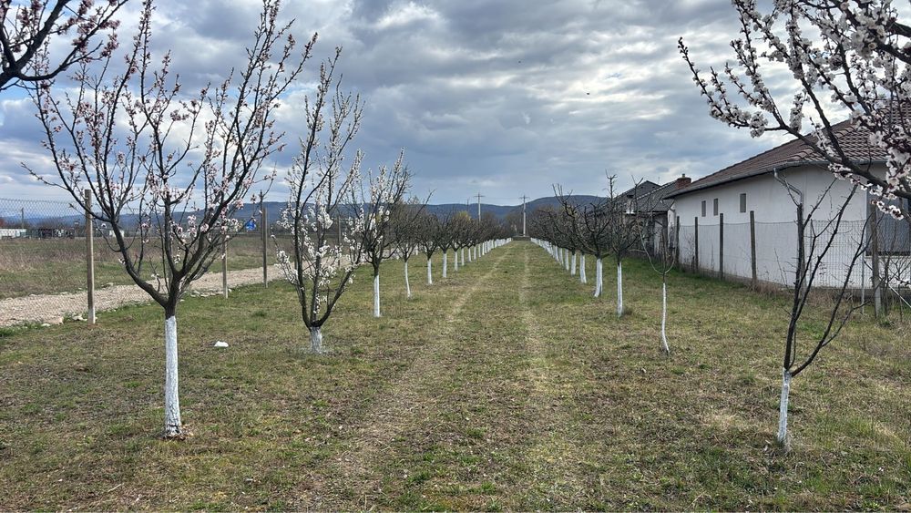 Teren de vanzare pentru casa