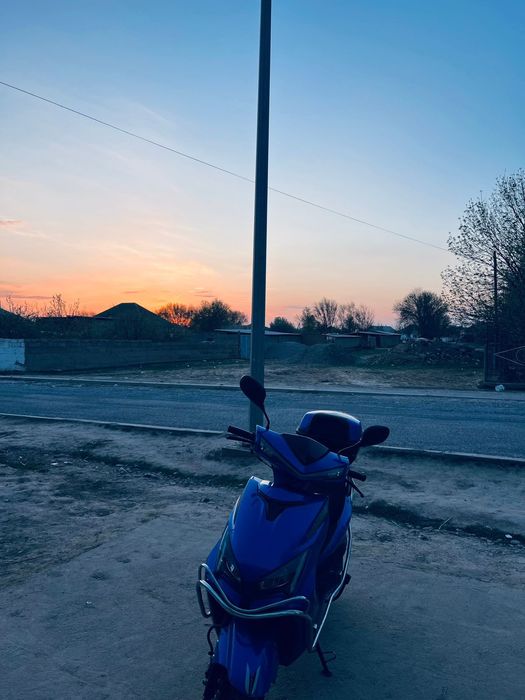 Минус нету бағасы 210к