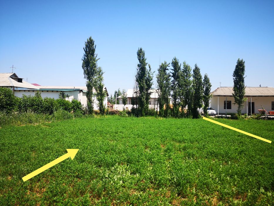 Гулистон тумани Х.Олимжон МФЙ