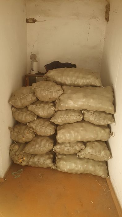 Продам картошку, сорт гала