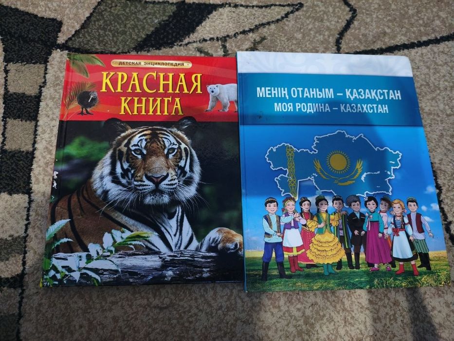 2 книги для детей начальной школы