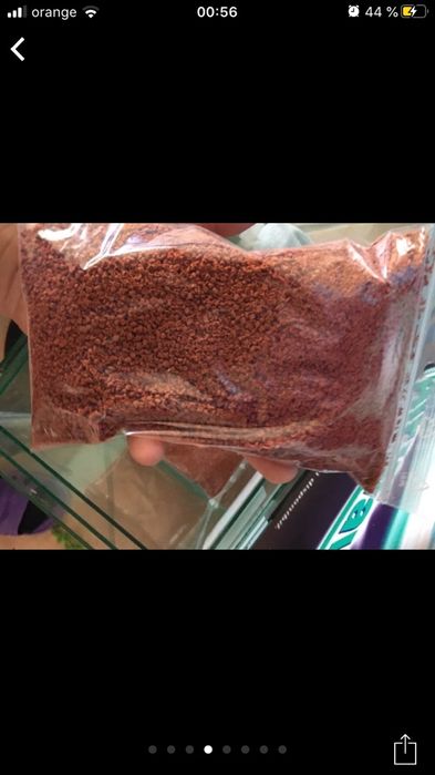 Hrana de calitate cu pigment . Tetra diskus