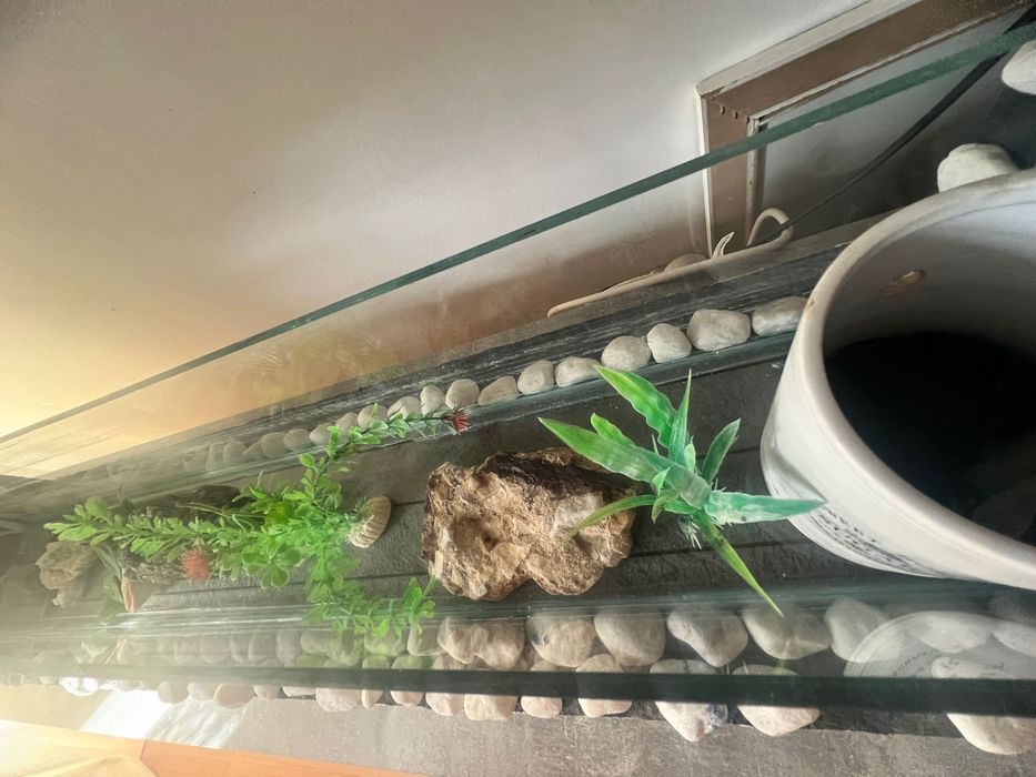 Vând acvariu home made