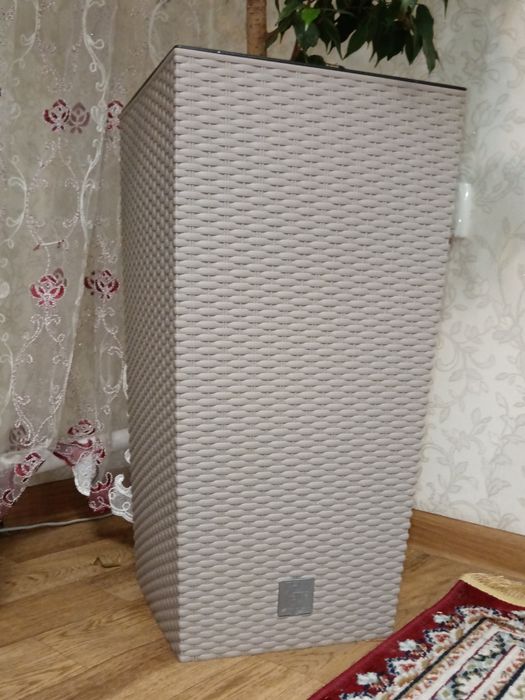 Фикус Бенджамин с кашпо. 2 метра