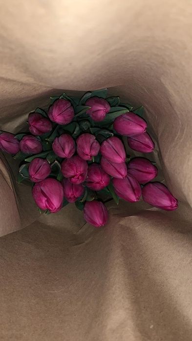 Тюльпаны предзаказ