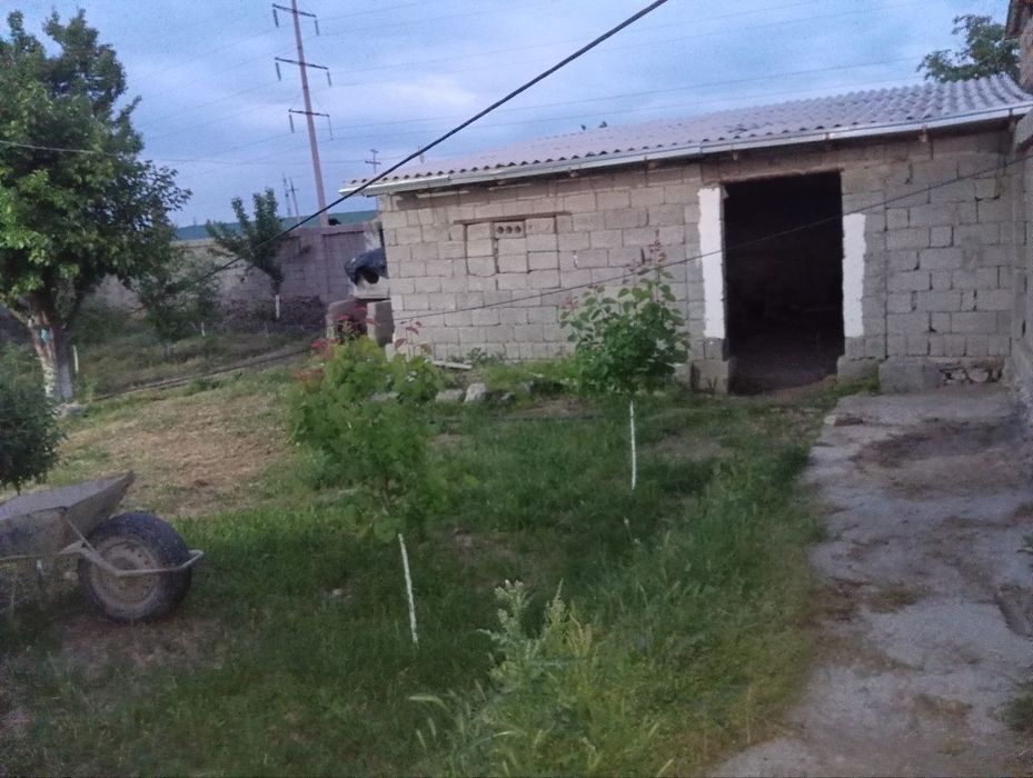 Srochna Uy hovli sotiladi pul zaril  narxini kelishamiz