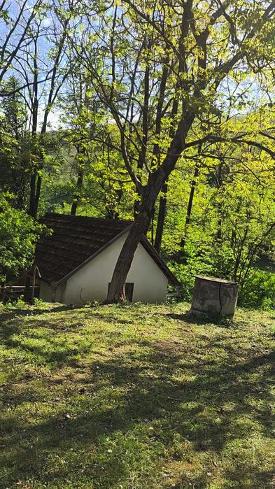 Casa de vacanță locuibila imediat