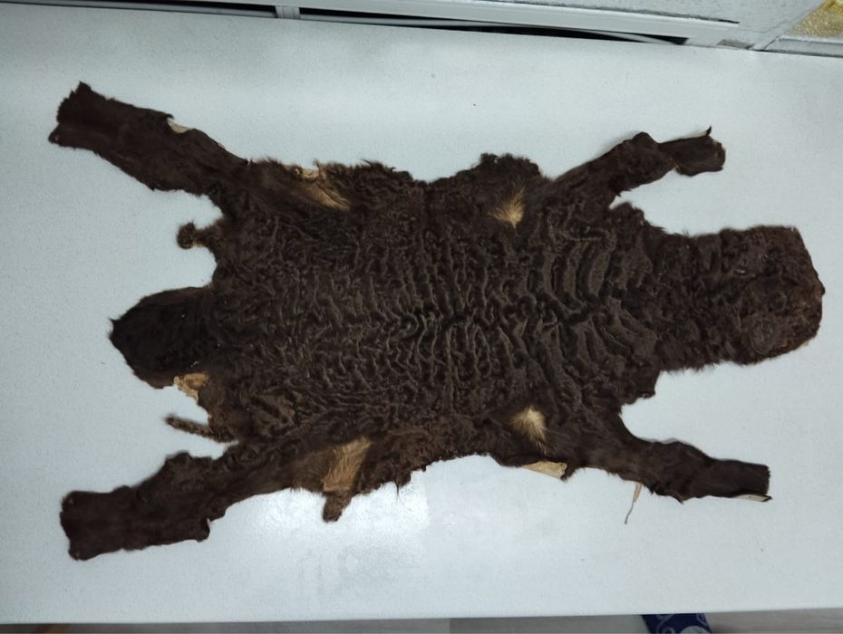 Каракульевые шкурки ( цвет сур )