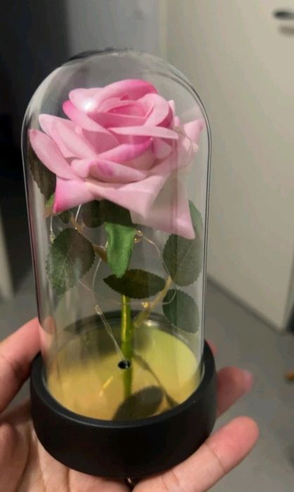 Роза в стъкленица след LED светлина