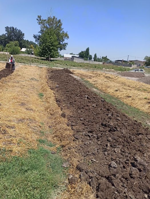 Биогумус натуральный, хорошего качества. По оптовым ценам! Скидка!