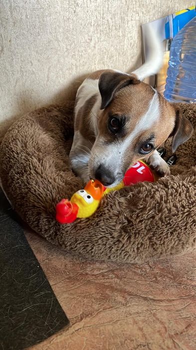 Молодой парень ищет спутницу