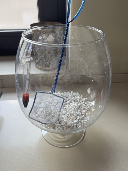 Acvariu decorativ pentru pesti