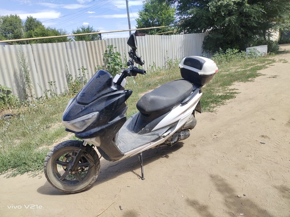 Макси 2024 годин