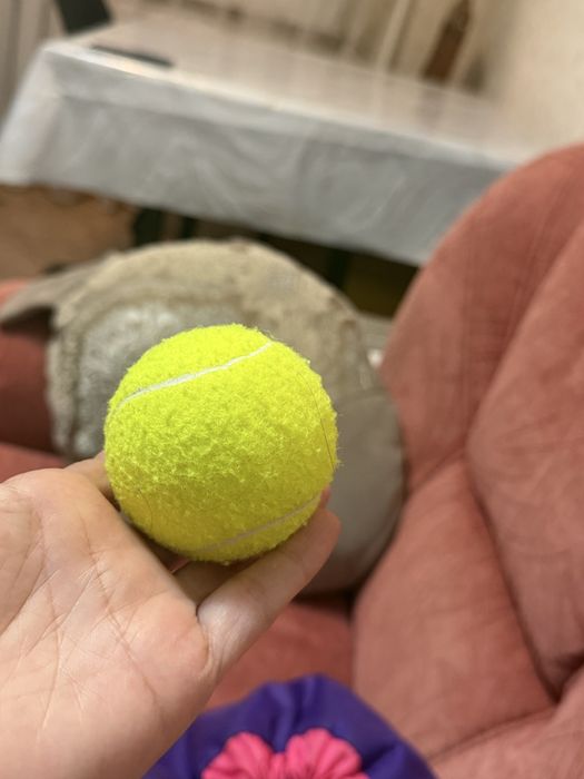 Гимнастический инвентарь для девочек