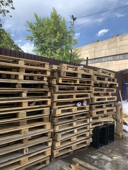 паддон  за. 1000 тенге