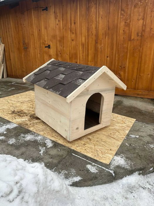 Adăpost animale câine