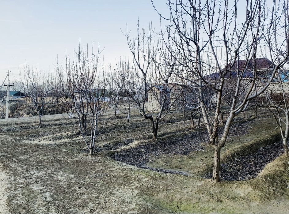 Продаётся земельный участок — 8 соток (≈800 м²)