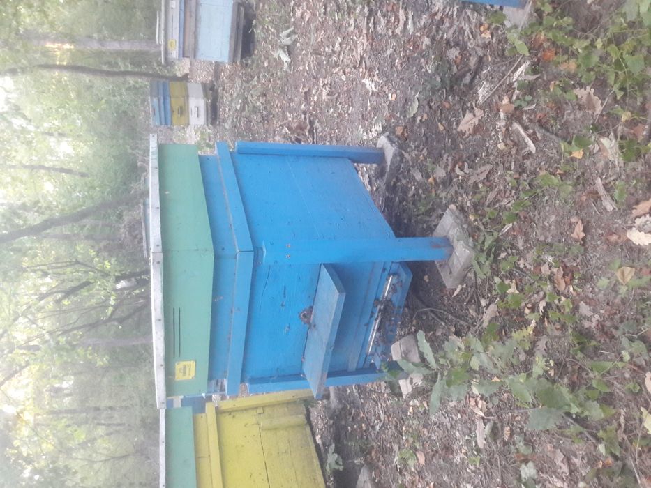 Военни сандъци кошер