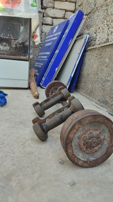 Gantel va grif gantel aspaderliy