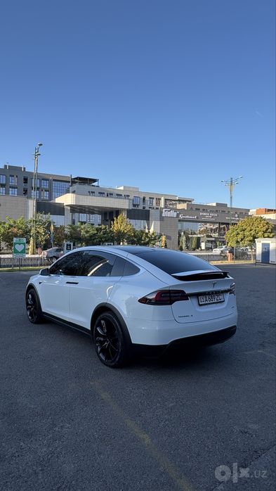 Tesla Modul X 2019
