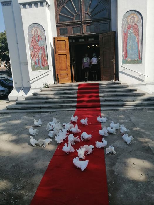 Porumbei nunta si evenimente speciale