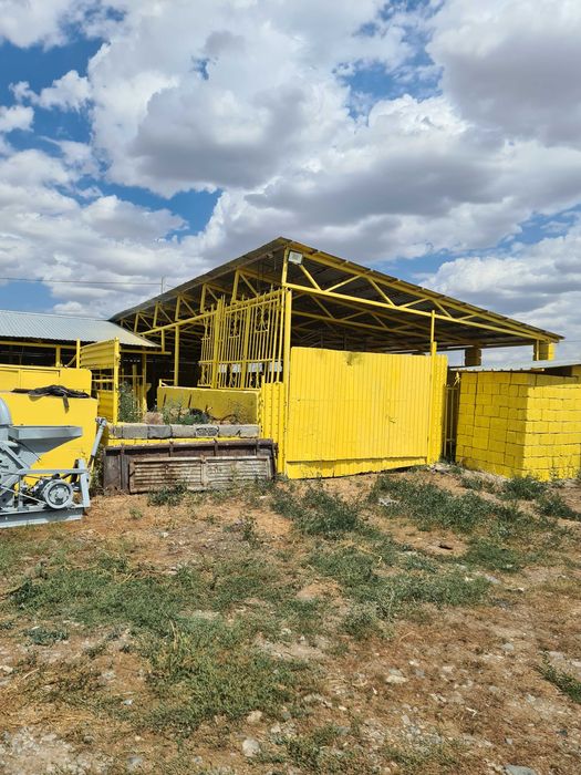 Откормочная база