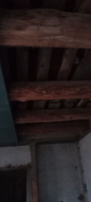 Utin va bolorlar sotiladi srocna