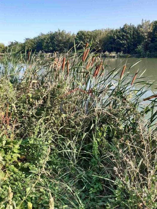 Продава се Парцел в с. Никюп, Област Велико Търново - 12800 кв.м за 12 €/кв.м - Снимка #1