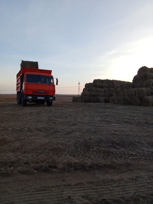 Сено разнотравье