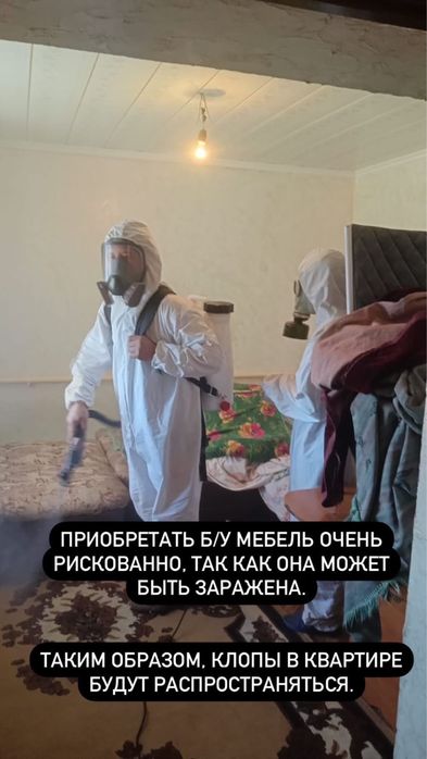 Дезинфекция клопов