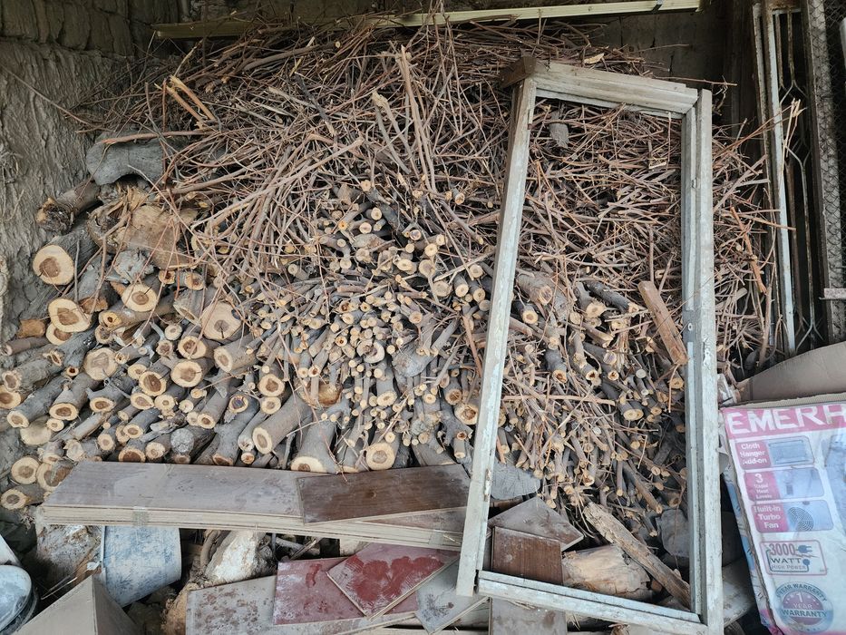 Утин хаммаси мевали бирзил